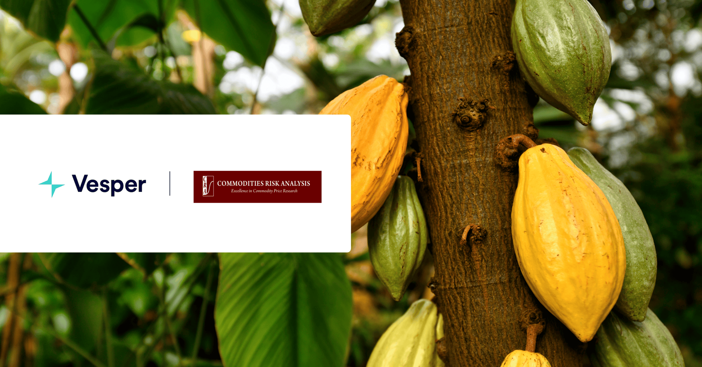 Partnership Vesper and Commodity RIsk Analysis for Cocoa Weather Reports