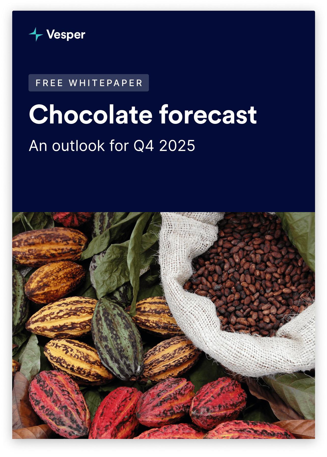 Chocolate_Forecast_Cover_ds