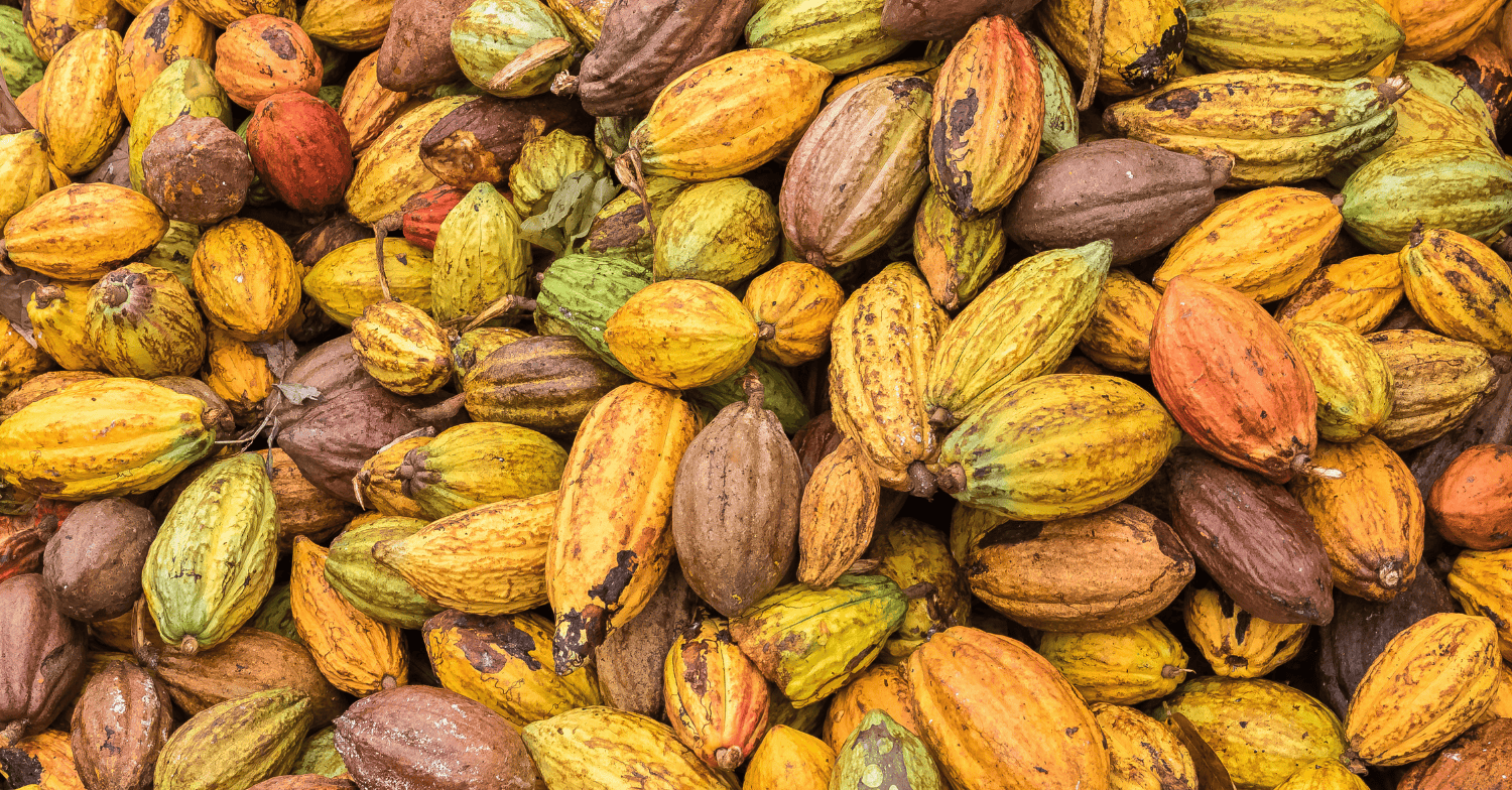 Cocoa market analysis week 28 2025