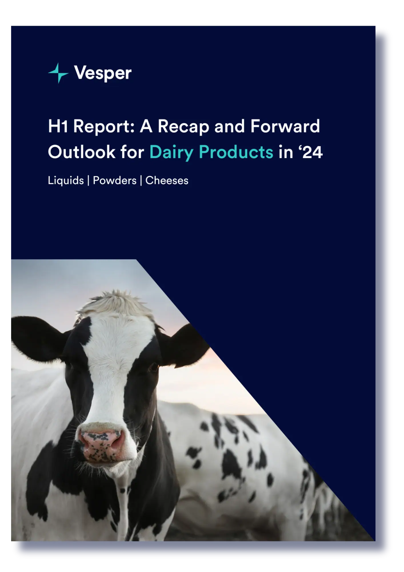Dairy market report 2025 & outlook 2026