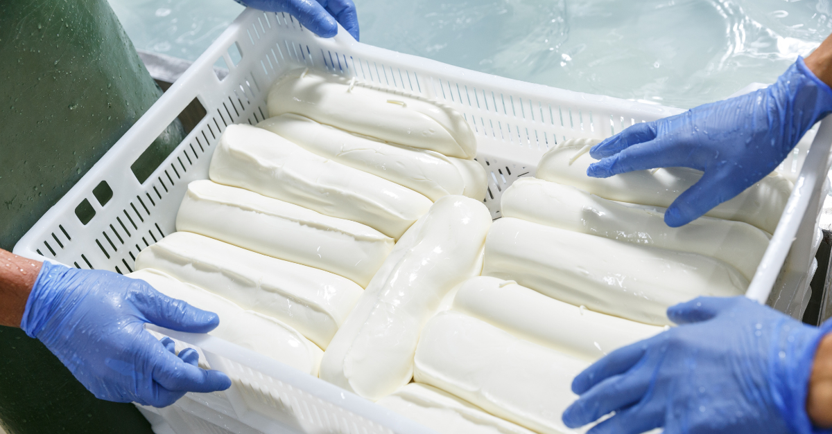 European cheese markets show more activity amid seasonal milk flush