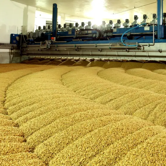 Grains Food and Beverage Manufacturers