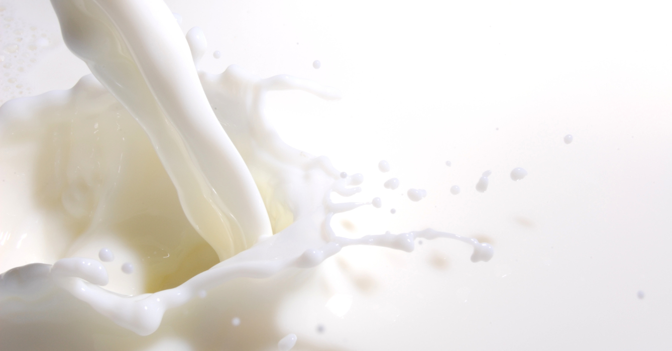 Market analysis butter, SMP, WMP weekly week 19