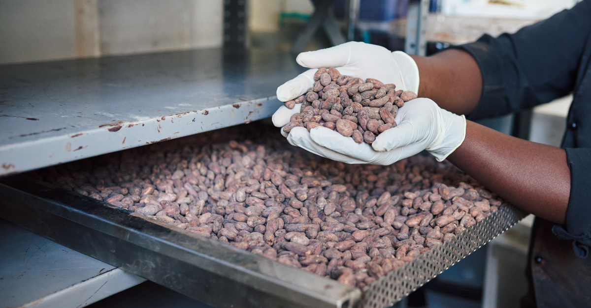 Market analysis cocoa - week 21