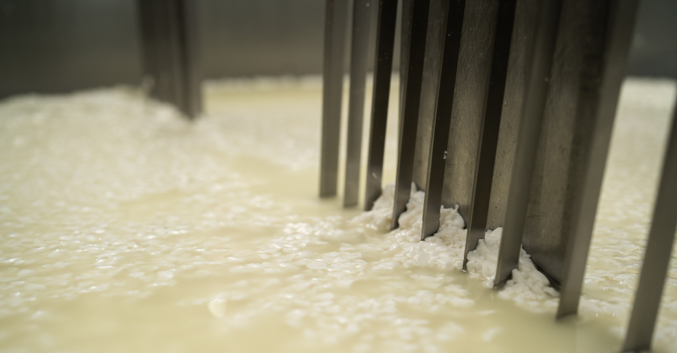 Market analysis dairy whey powders and lactose - week 21