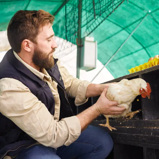 Poultry Farmers