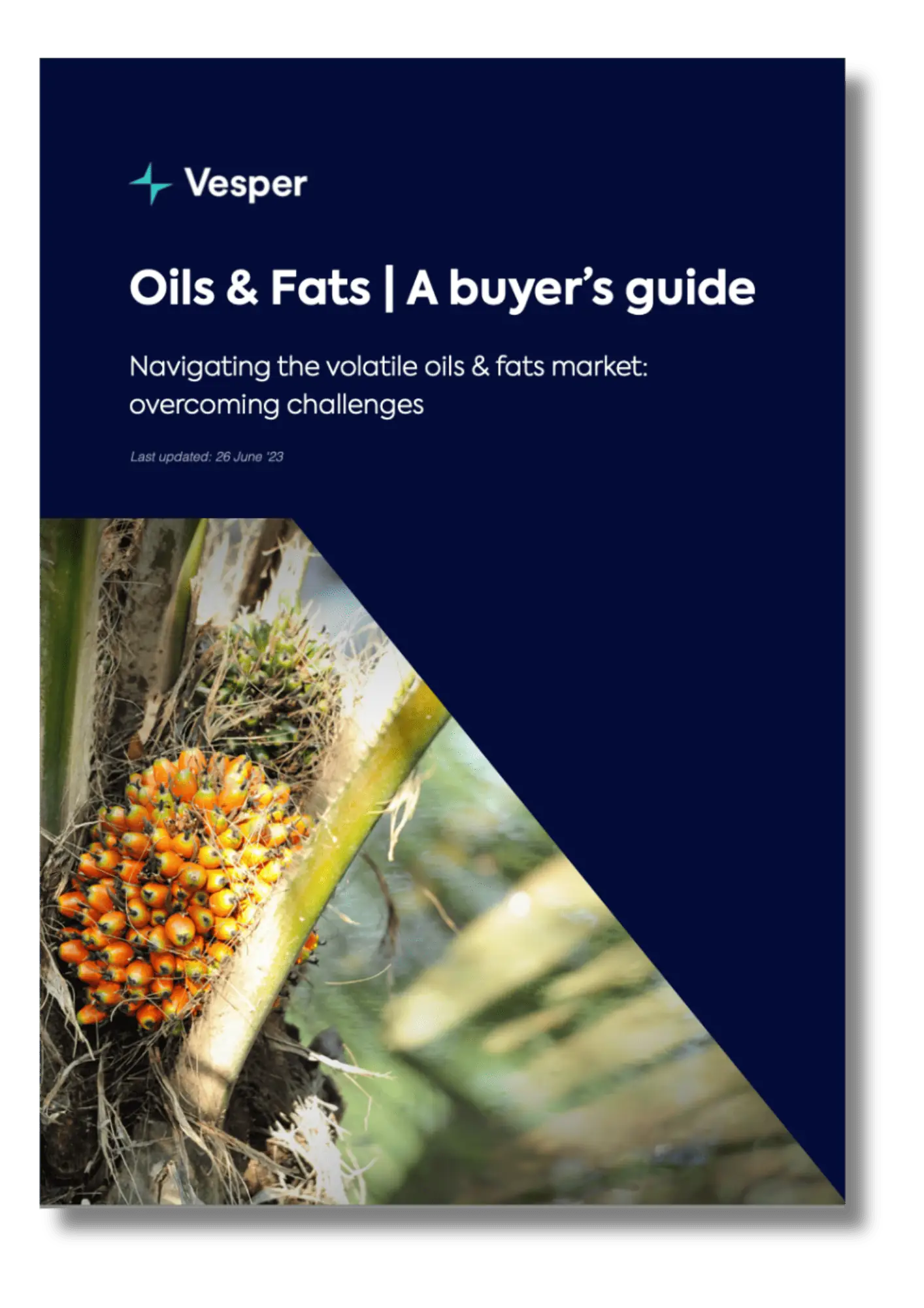 Oils and Fats | A Buyer's Guide