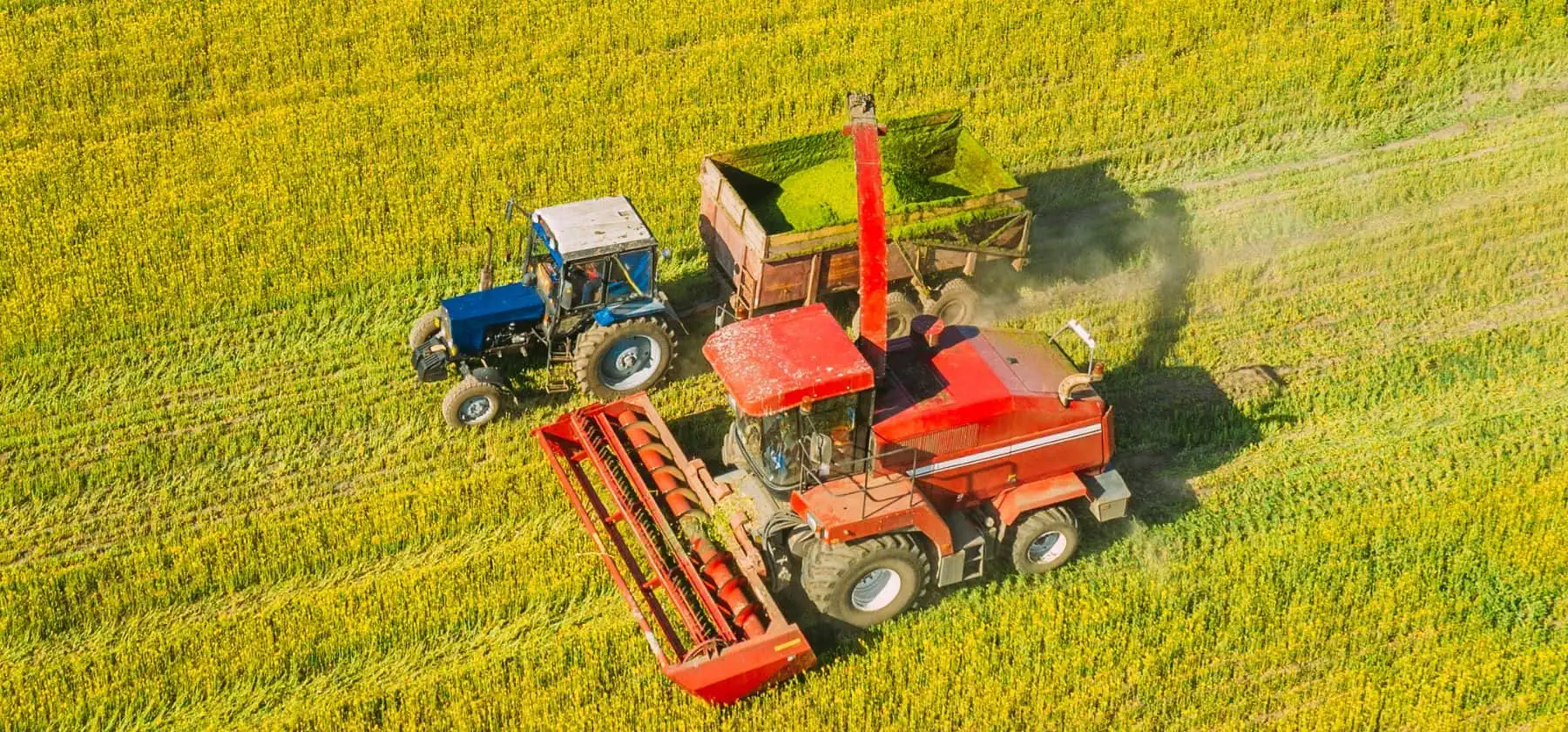 Vesper s Biodiesel Market Insights Mixed EU Biodiesel Prices