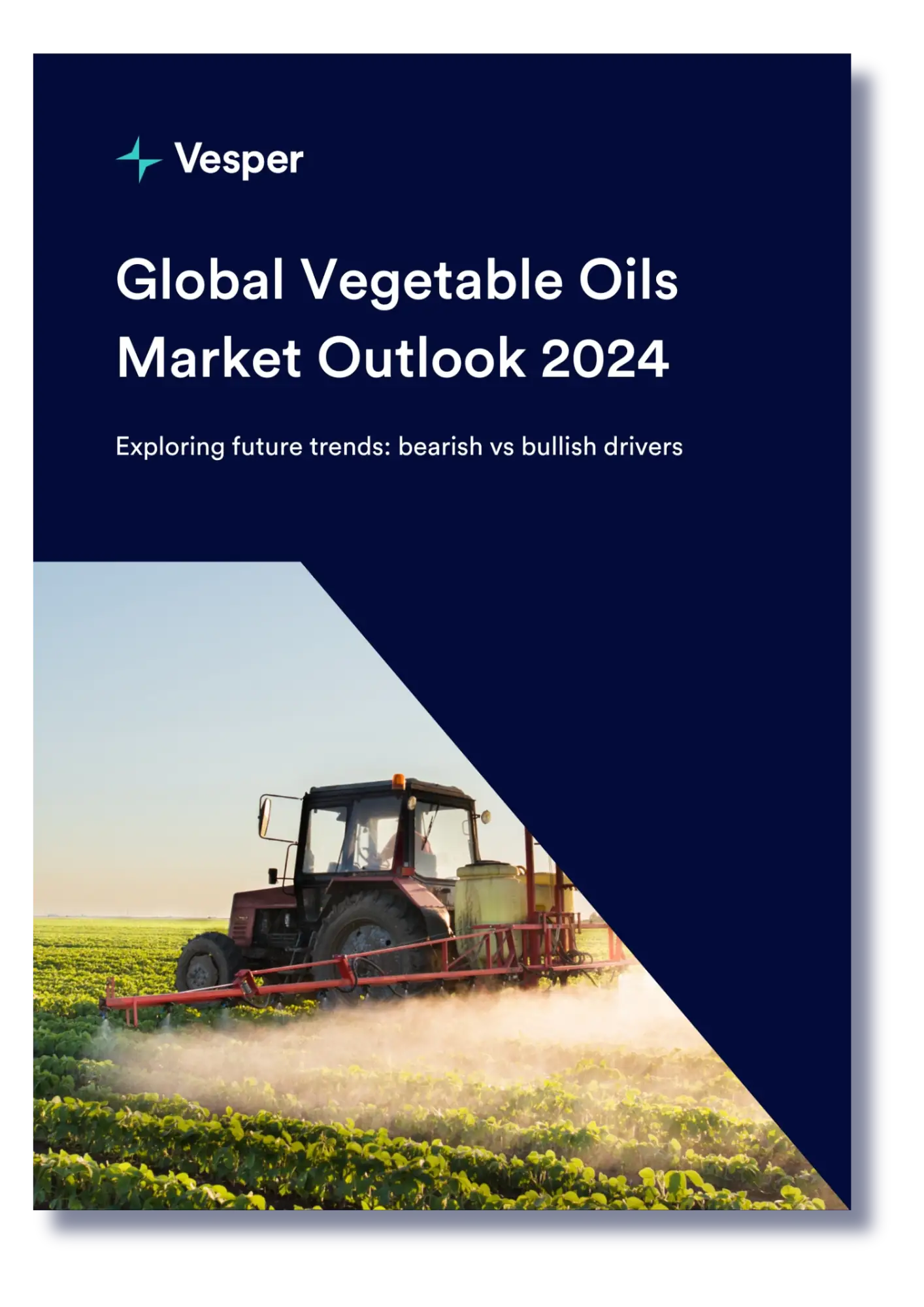 Oils & Fats Market Outlook Report 2024