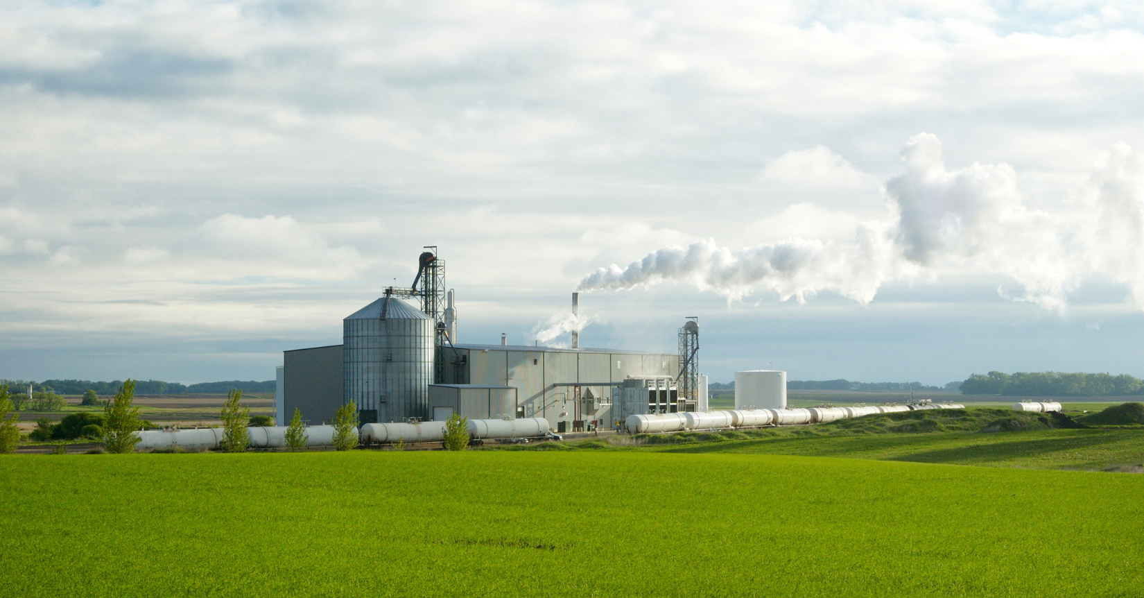 biodiesel market analysis week 24 2025