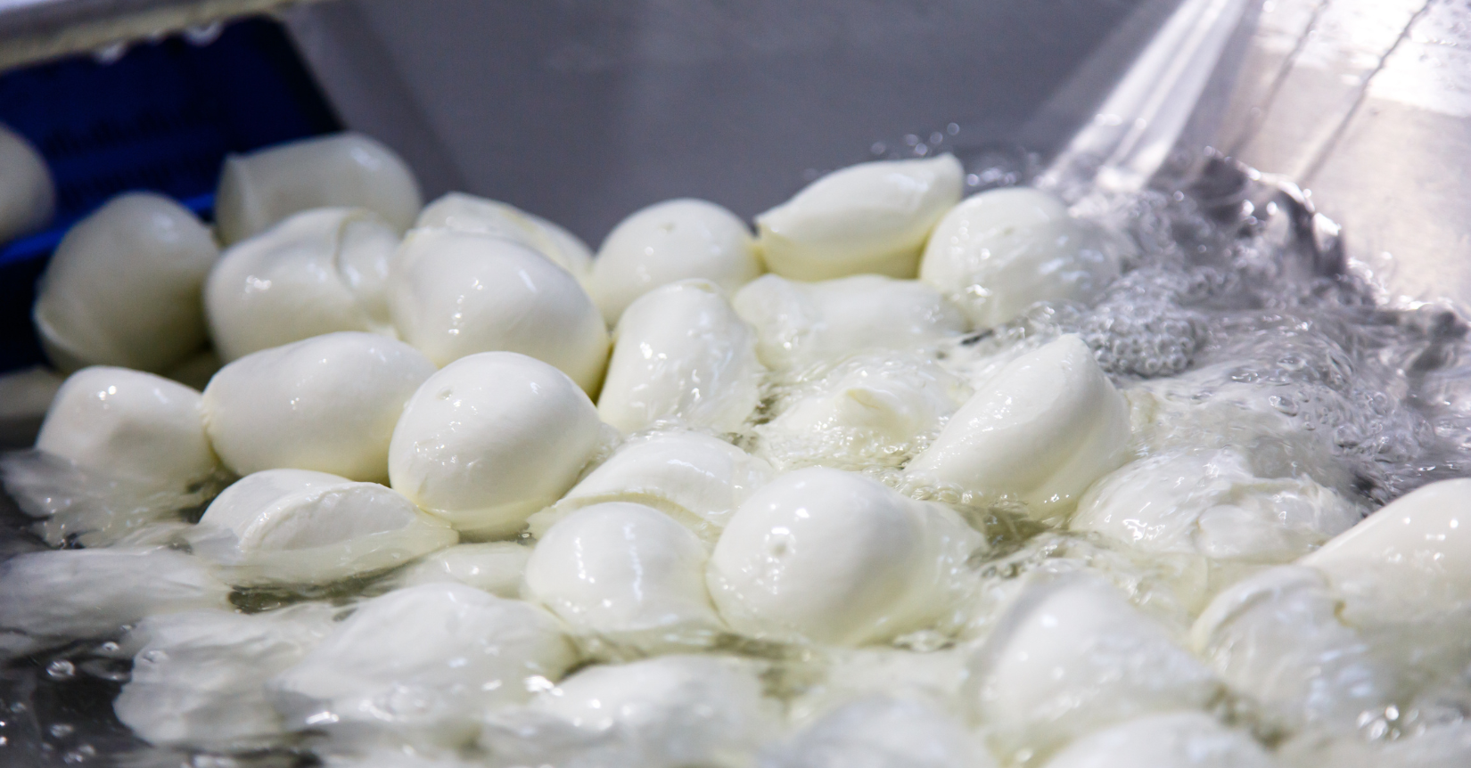 cheese market analysis week 24 2025