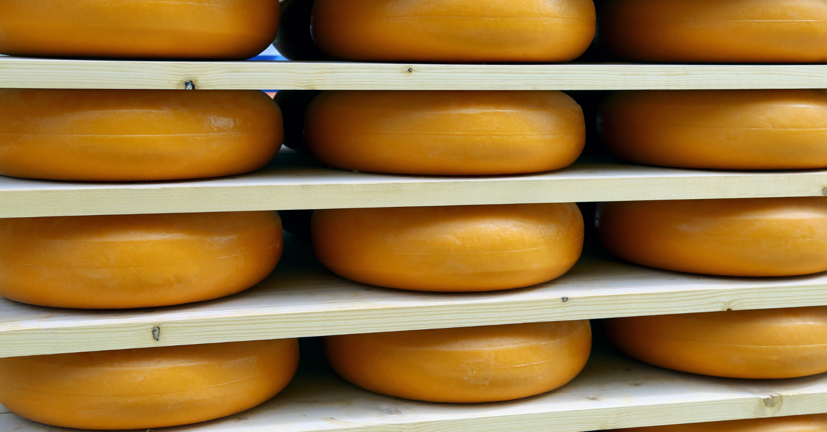 cheese market analysis week 26 2025