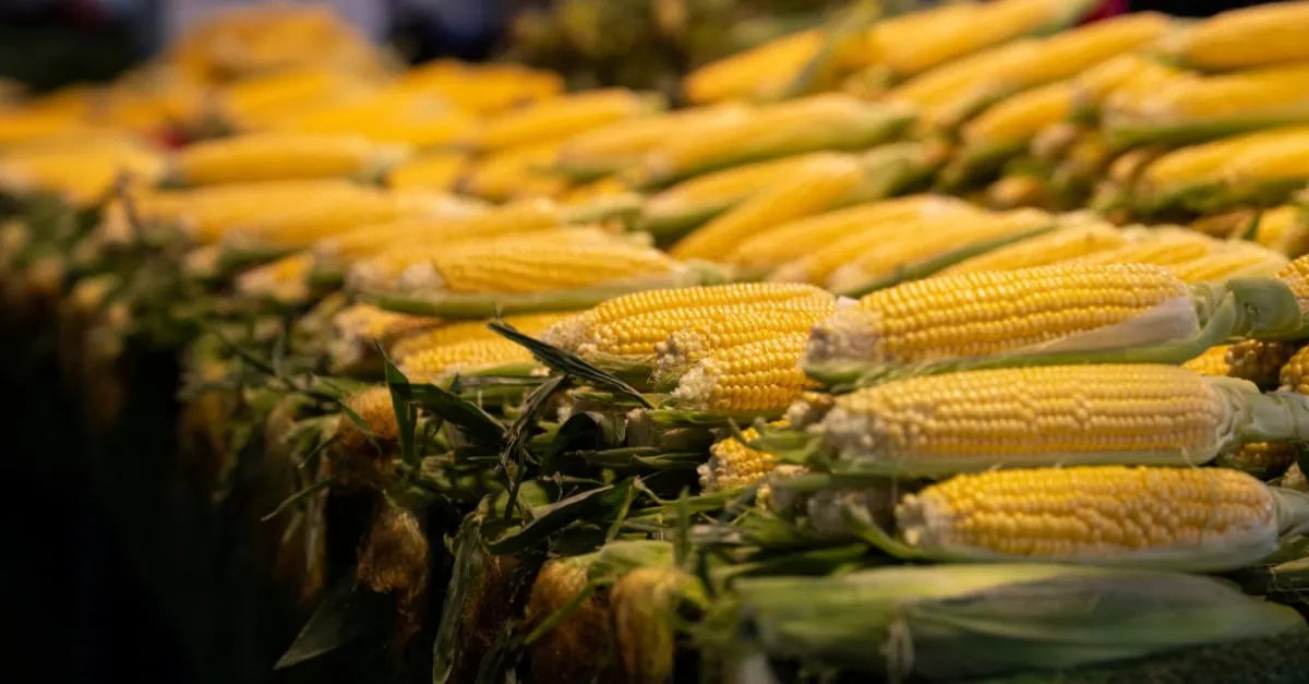 corn oil price