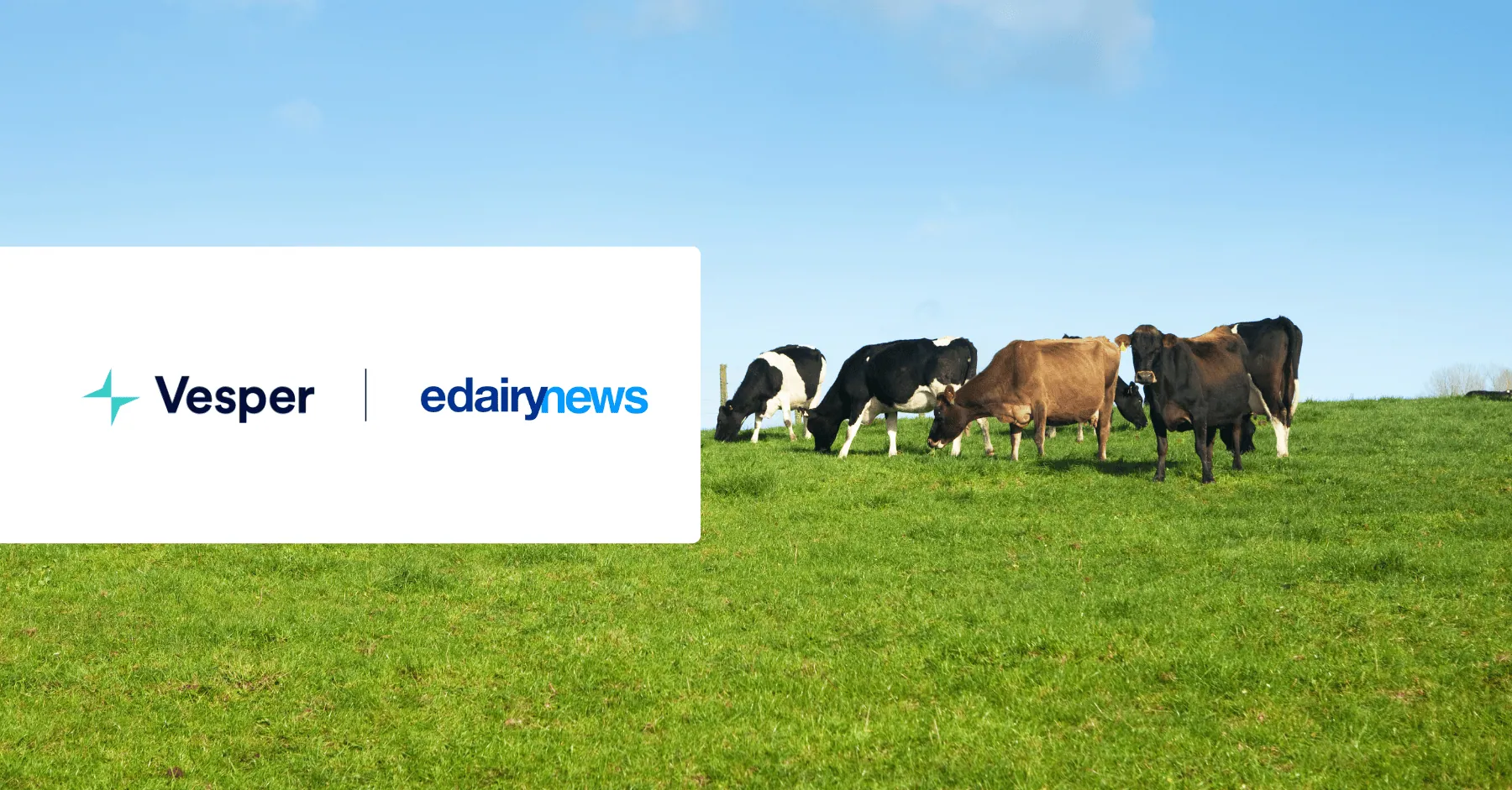 eDairy News Vesper Partnership Announcement