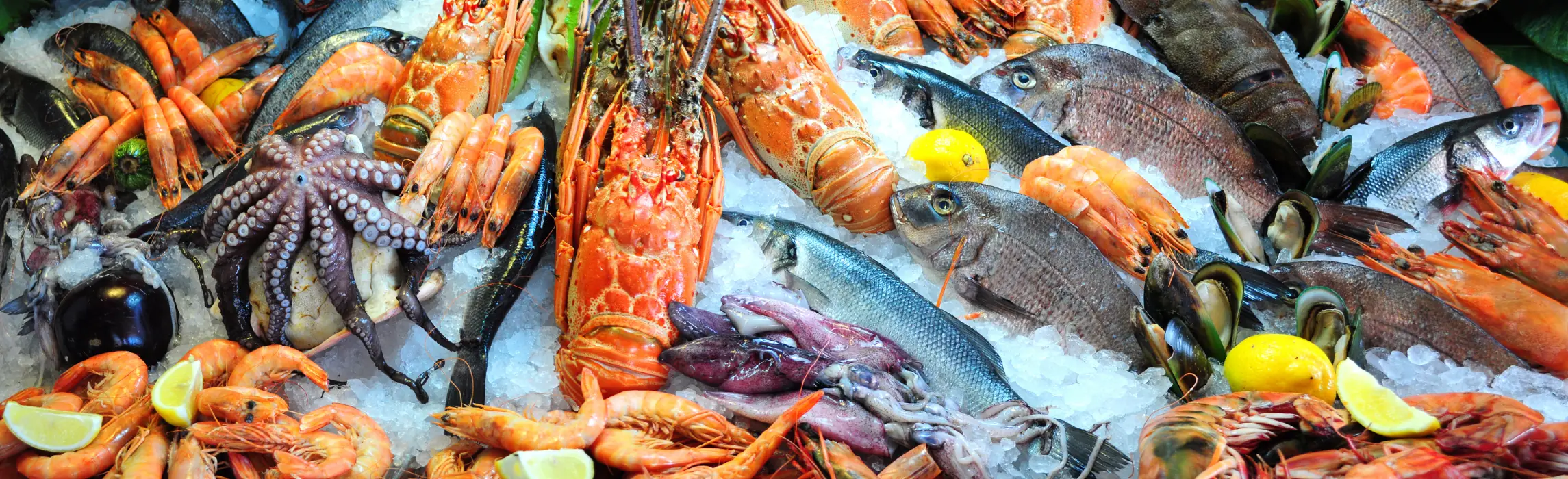 fish - seafood header