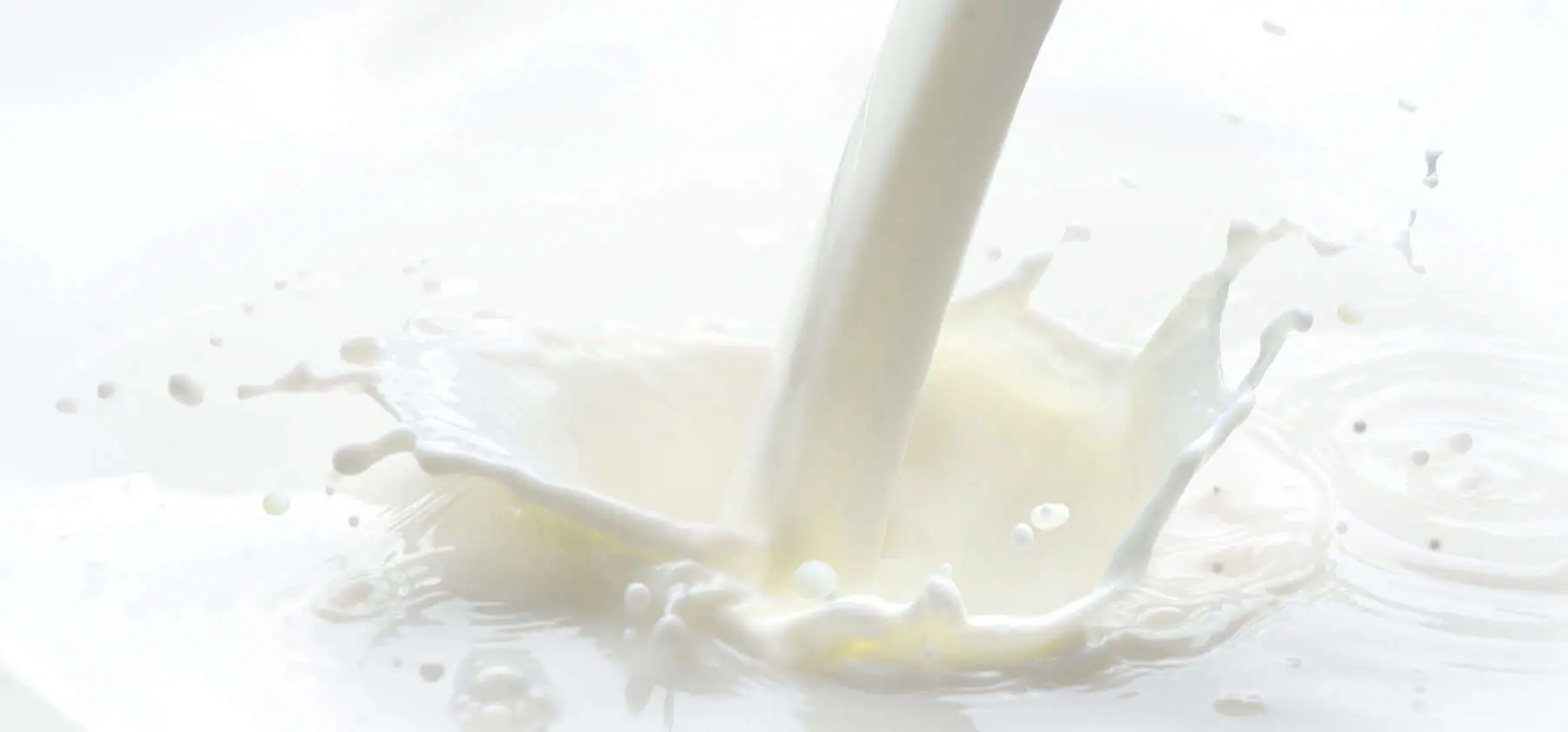 milk prices liquids cream