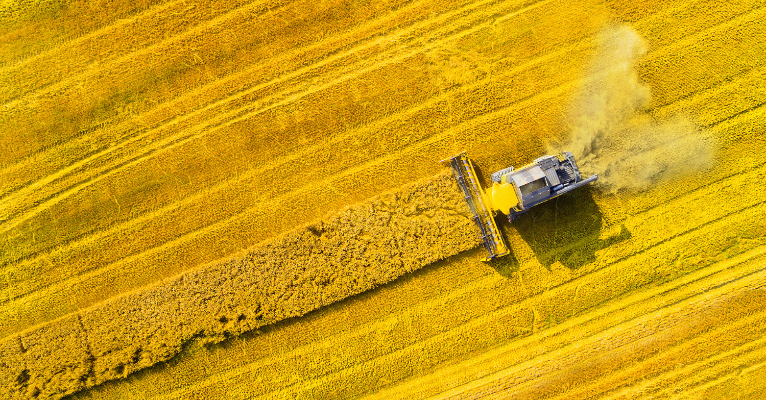 oils and fats market analysis week 24 2025