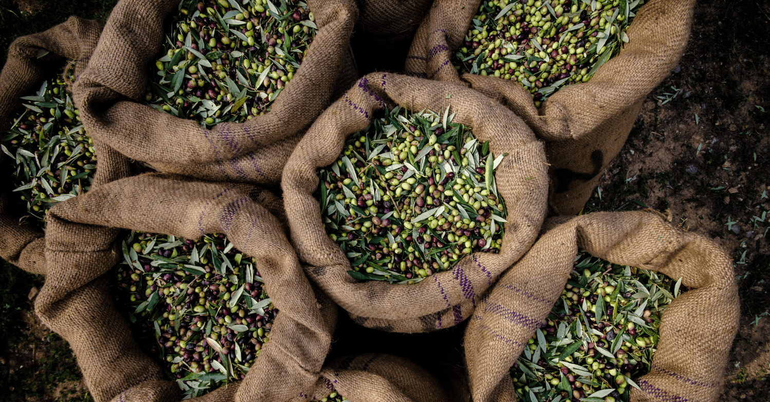 oils and fats market analysis week 26 2025 (1)