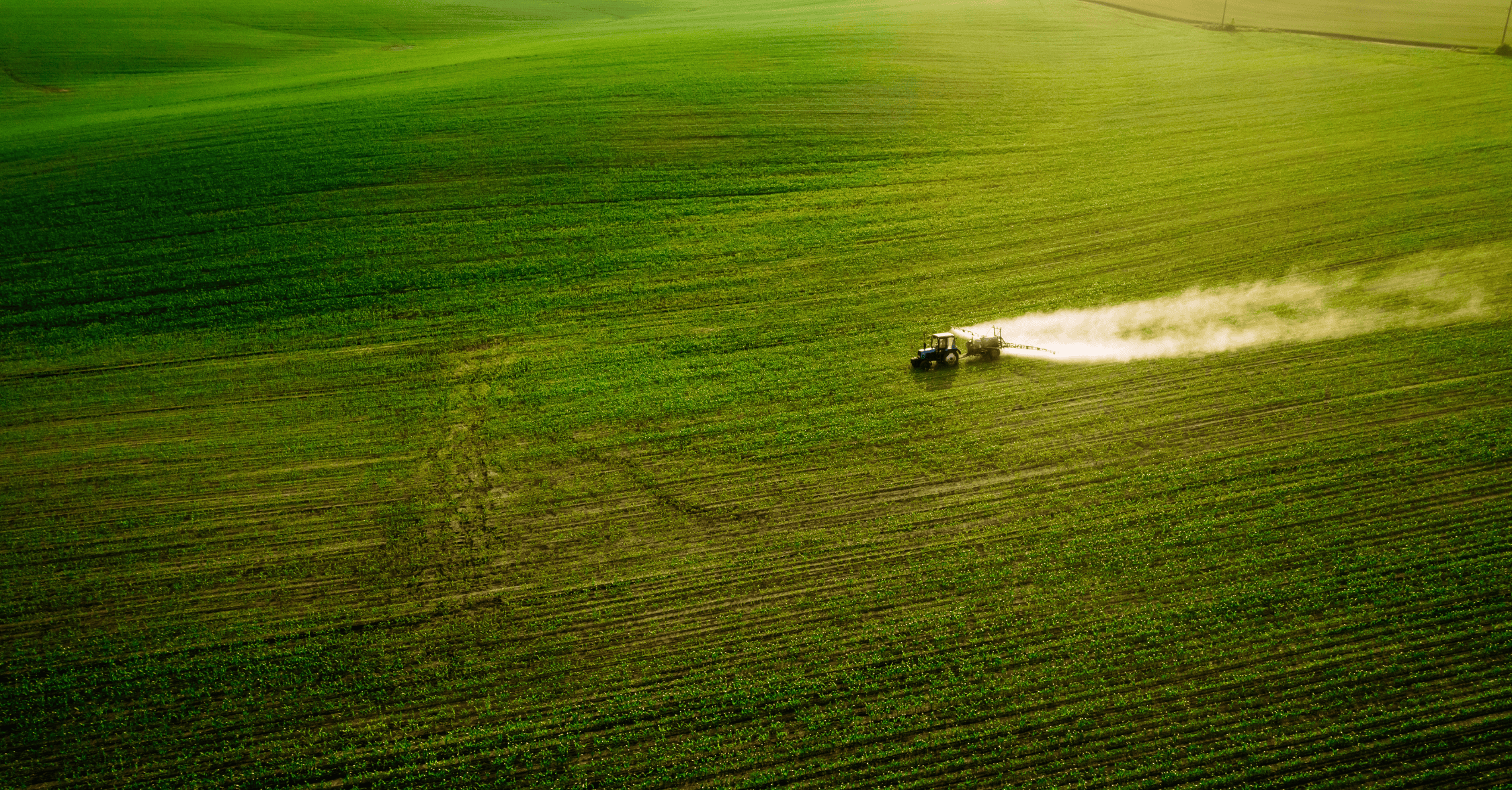 oils and fats soybean week 7