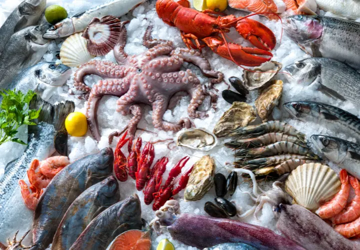 seafood - category image