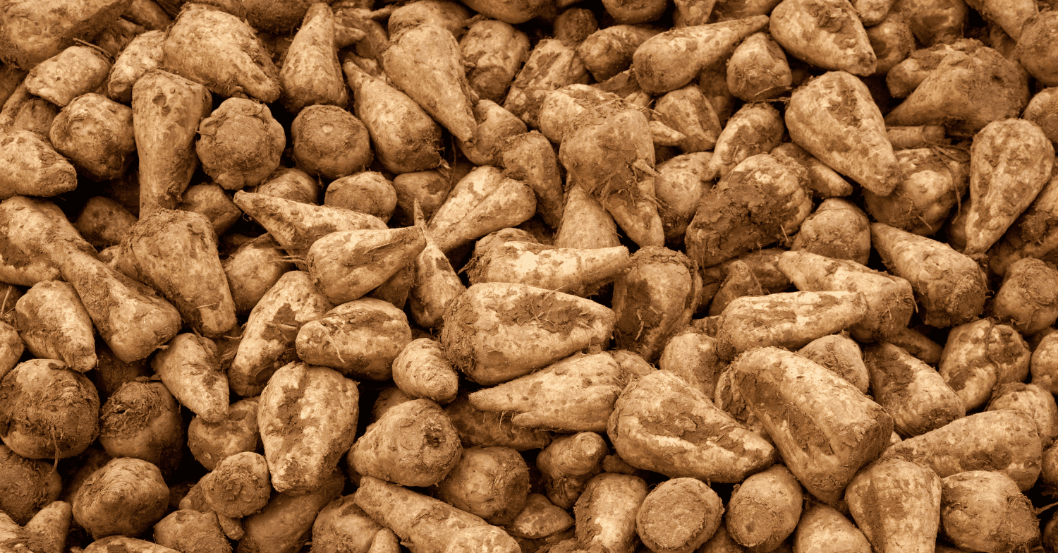 sugar market analysis week 37