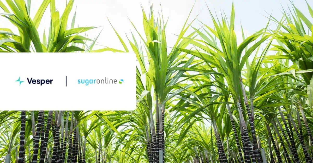 sugar online partnership