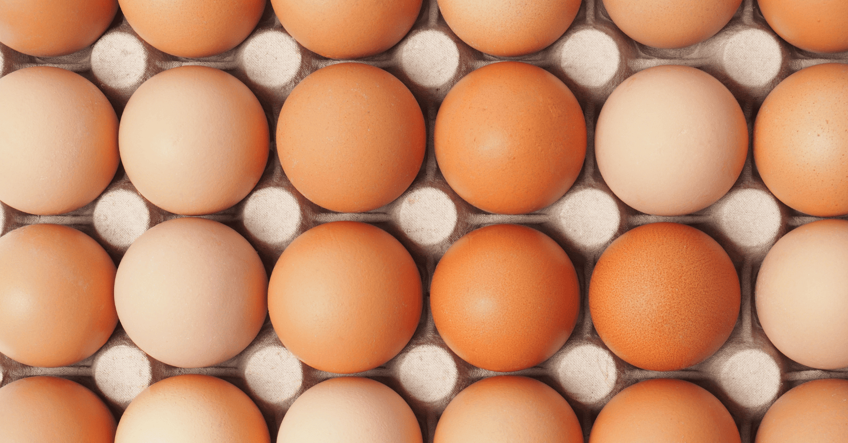 week 28 egg market analysis